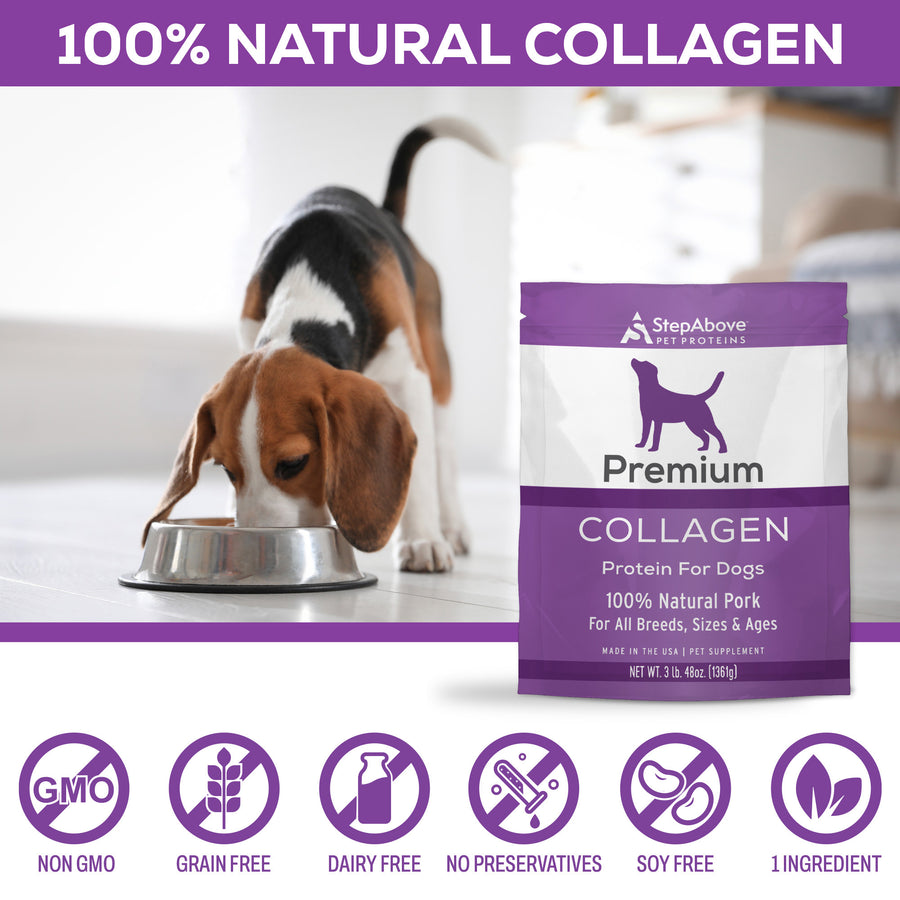 Collagen Protein For Dogs – 48 oz.