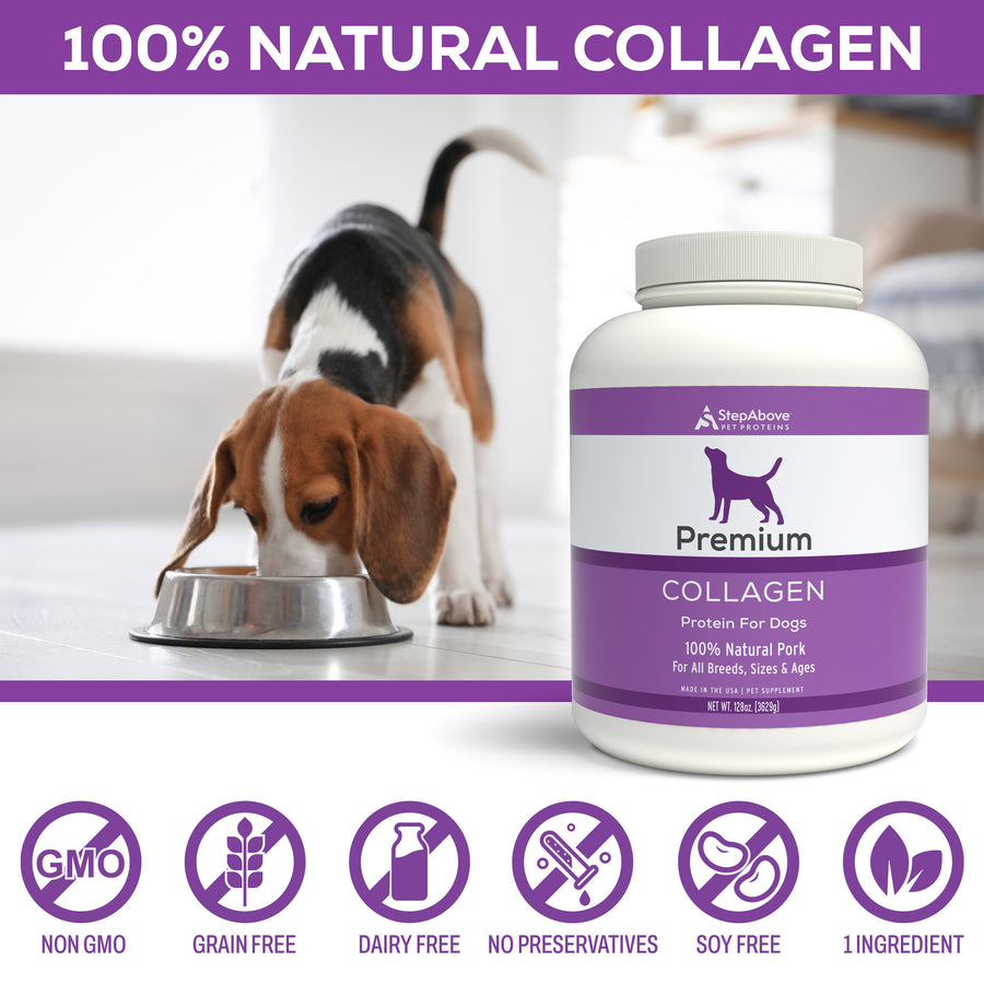 Collagen Protein For Dogs  – 128 oz.