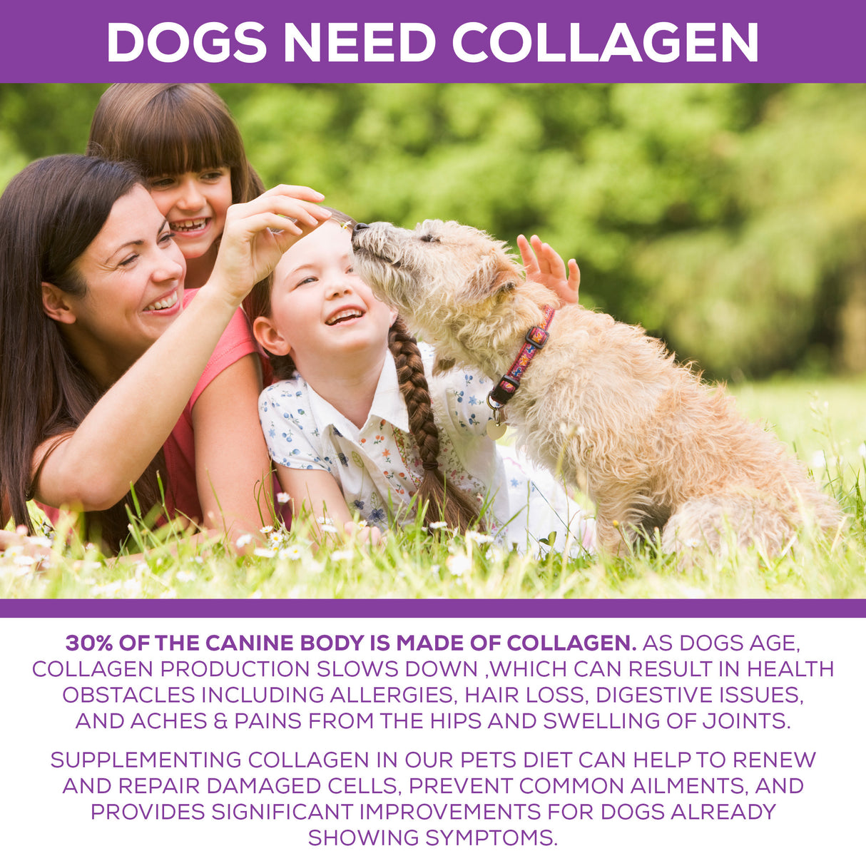 Collagen Protein For Dogs  – 128 oz.