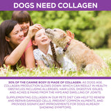 Collagen Protein For Dogs  – 128 oz.