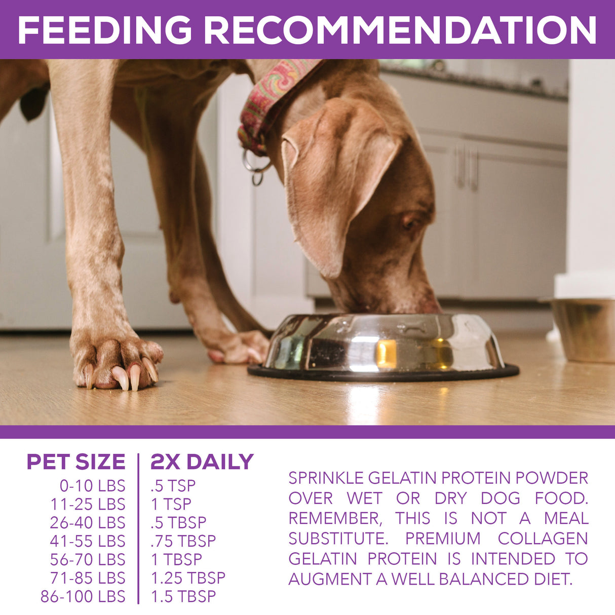 Collagen Protein For Dogs  – 128 oz.