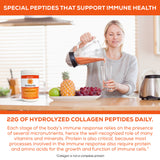 Bioactive Collagen Peptides for Immunity - 12 Oz. Orange Tangerine