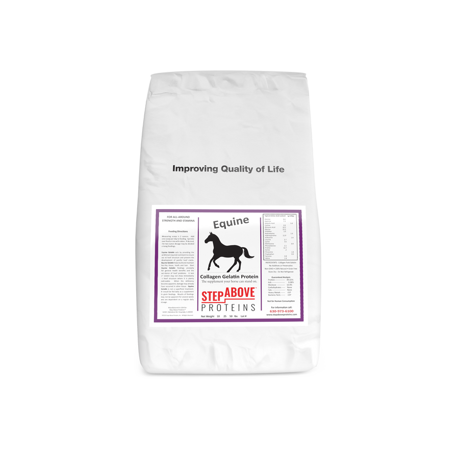 Collagen Protein for Horses